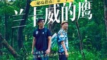 迷宫塔