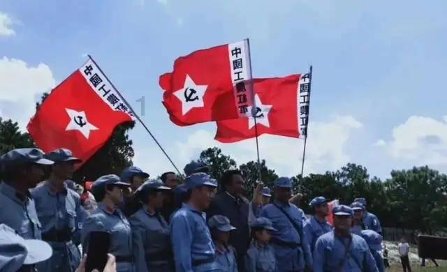 动物帮帮忙保卫家园